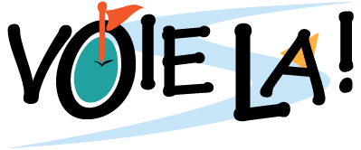 voiela.com